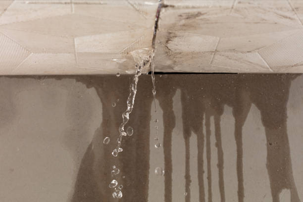 Professional Sewage Cleanup technician working in Mulberry, IN